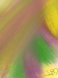Pasted Graphic 8