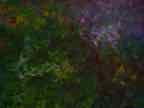 DSC00004.JPG