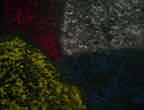 DSC00015.JPG