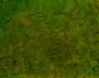 DSC00017.JPG
