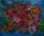 DSC00021.JPG