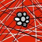 Ronds_Dans_Ronds le 28_02_2026_.jpg